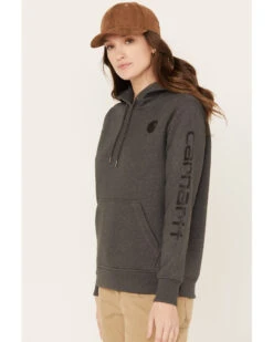 Carhartt Women's Clarksburg Graphic Sleeve Pullover Sweatshirt Hoodie 